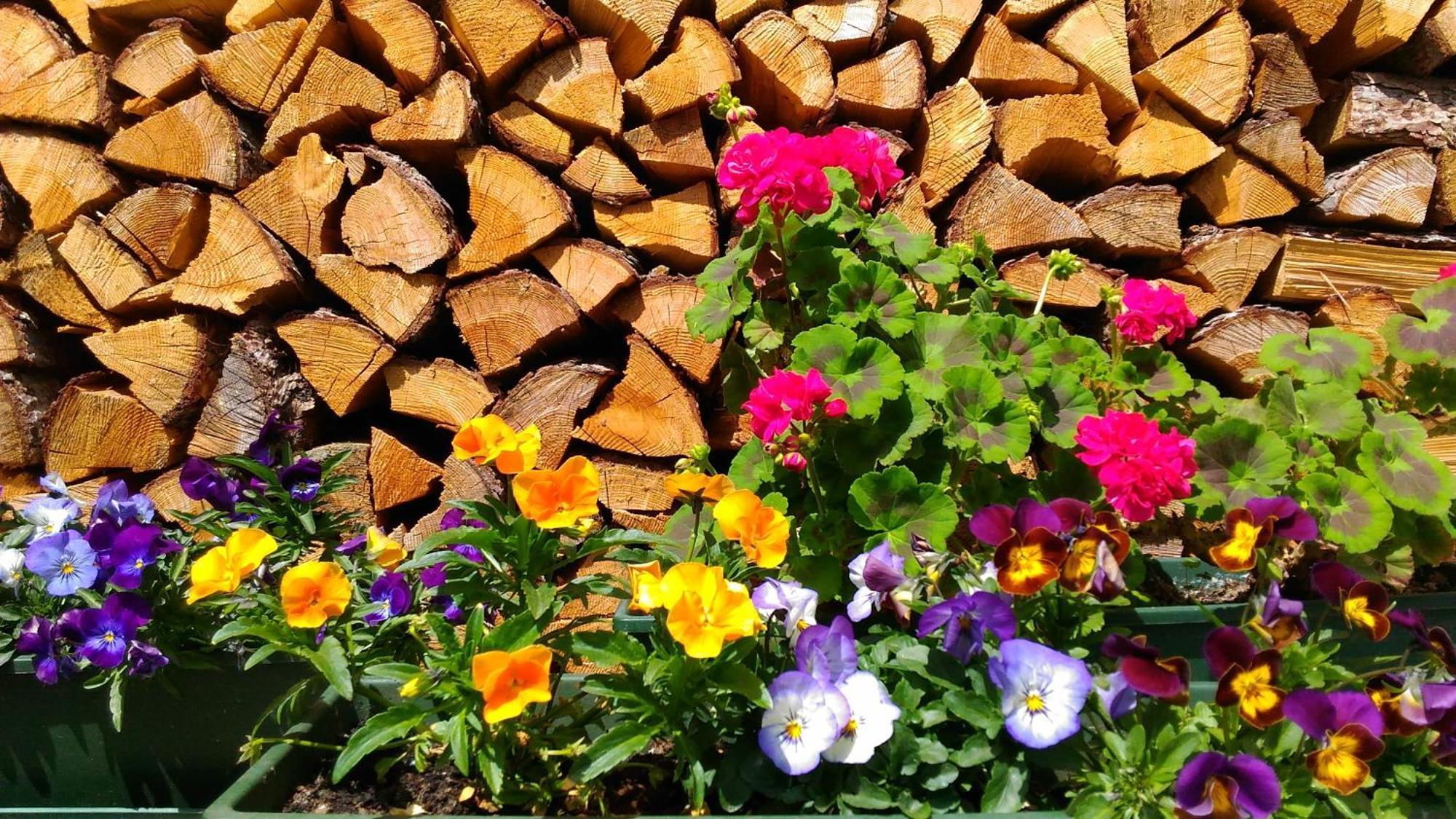 Bed & Breakfast Campaciol Livigno Exteriér fotografie
