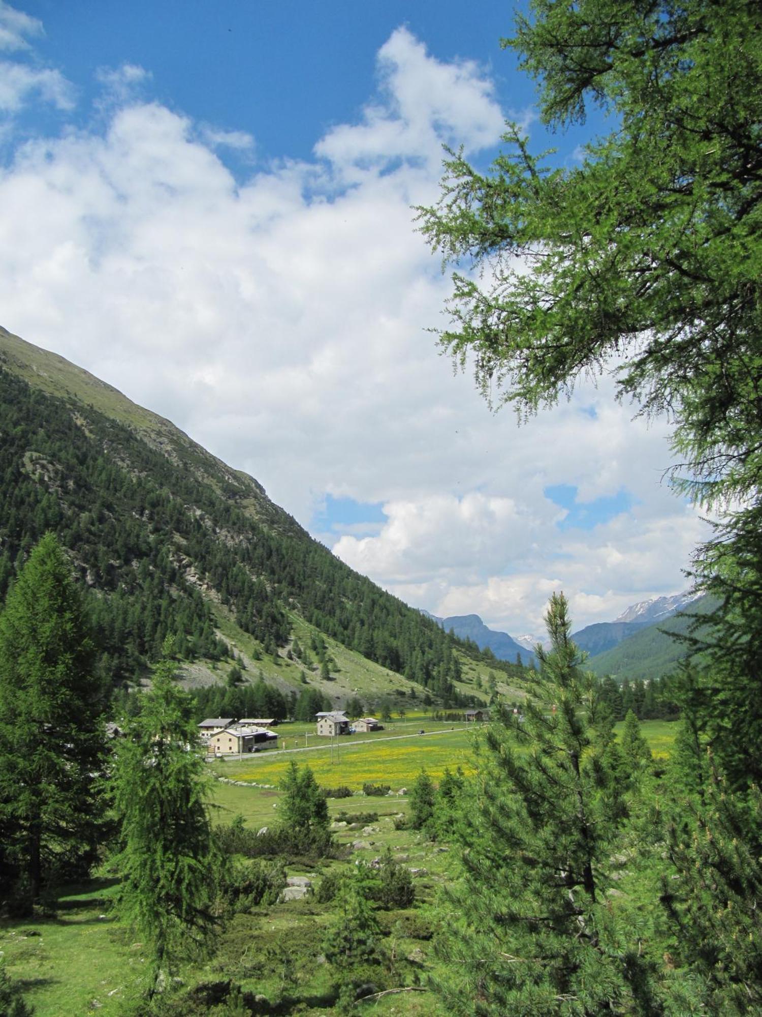 Bed & Breakfast Campaciol Livigno Exteriér fotografie