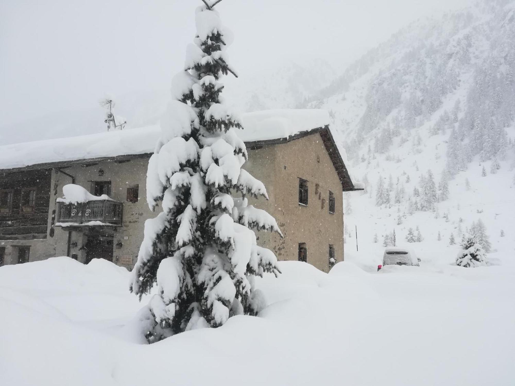 Bed & Breakfast Campaciol Livigno Exteriér fotografie