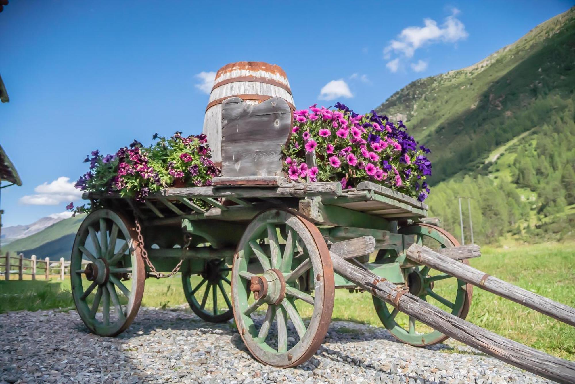 Bed & Breakfast Campaciol Livigno Exteriér fotografie